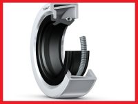 شعرت وعاء الربيع